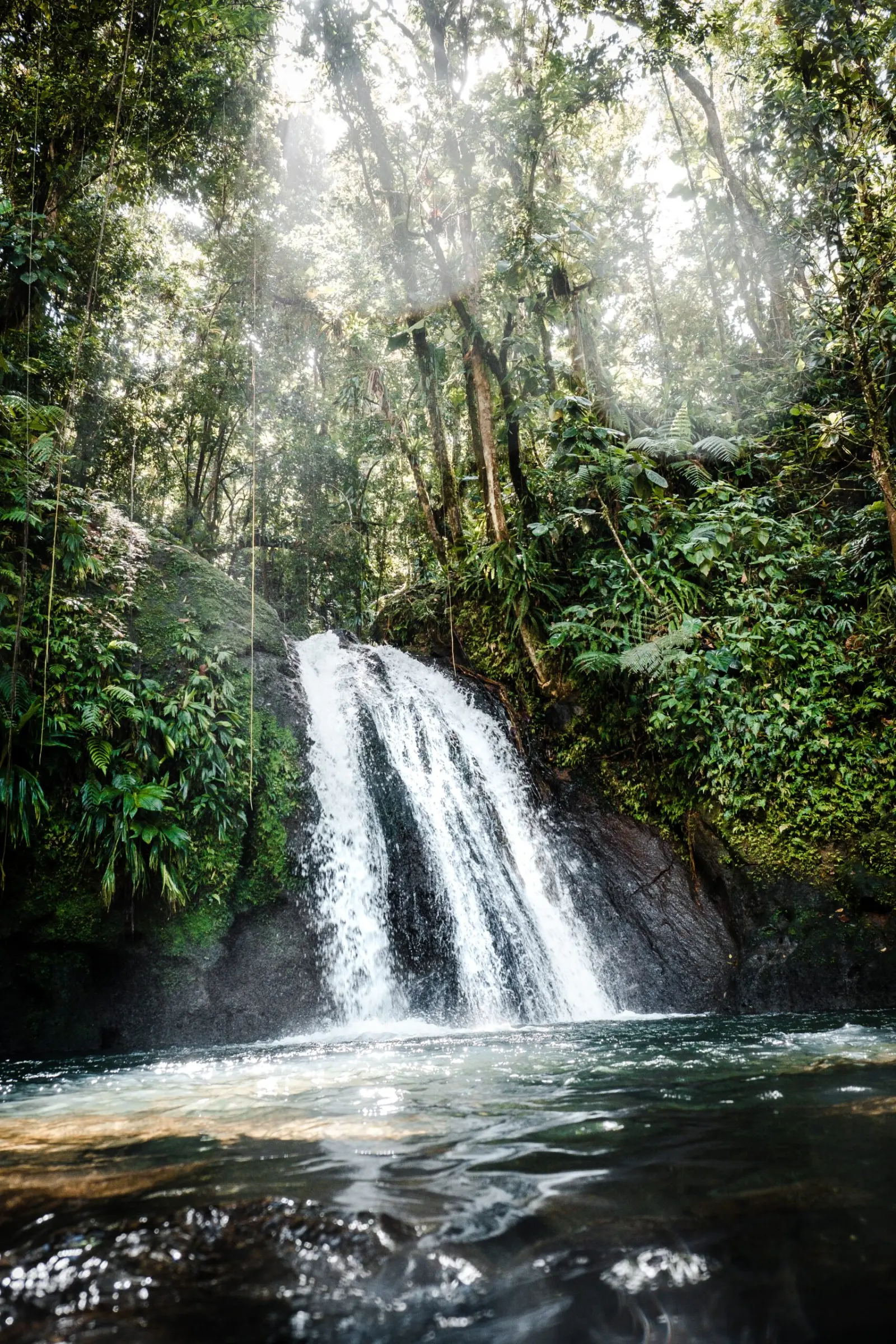 Cascade en forêt tropicale en Guadeloupe